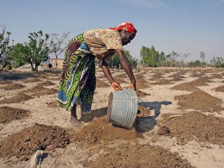 With planting season weeks away, millions in drought-hit southern Africa need support – UN