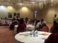 Workshop on financial sector policy development: Lesotho, 20-23 November 2016