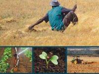Book launch – WTO: Agricultural Issues for Africa