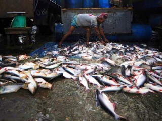 Next month’s ocean conference eyes cutting $35 billion in fisheries subsidies – UN trade officials