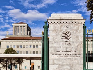 Members issue joint call for safeguarding the WTO-based global trading system