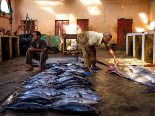 Compilation of seven fisheries subsidies proposals circulated to WTO members