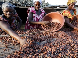 Alarm bells as more developing countries become commodity-dependent