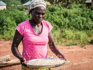 Women in Services Trade: Participation and Ownership, A Sub-Saharan African Focus