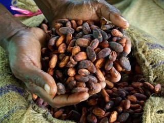 A new vision for the cocoa sector: Berlin Declaration of the 4th World Cocoa Conference