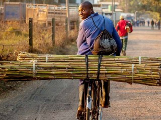 Kenya risks missing Comesa deadline for sugar sector reforms
