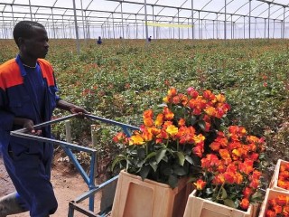 Kenya: Exports to Africa can spur industry – Biwott