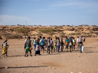 IOM Trends Analysis: Most Horn of Africa migrants move within region