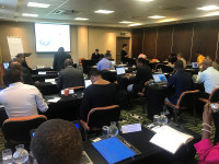 Industrial Policy Workshop – Cape Town, January 2020