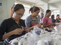 WTO report draws attention to impact of COVID-19 trade disruptions on women