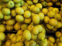 The U.S. anti-dumping investigation against lemon juice exports from South Africa