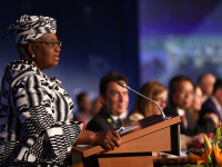 Twelfth WTO Ministerial Conference – Geneva: Resource page