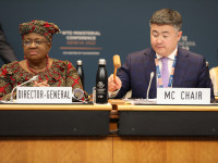 WTO members secure unprecedented package of trade outcomes at MC12