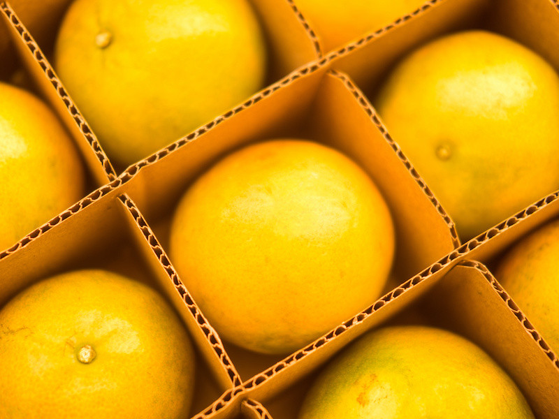 The new EU rules for citrus imports from South Africa: Background, applicable legal texts and processes, and the dispute declared by South Africa under the rules of the World Trade Organisation (WTO)