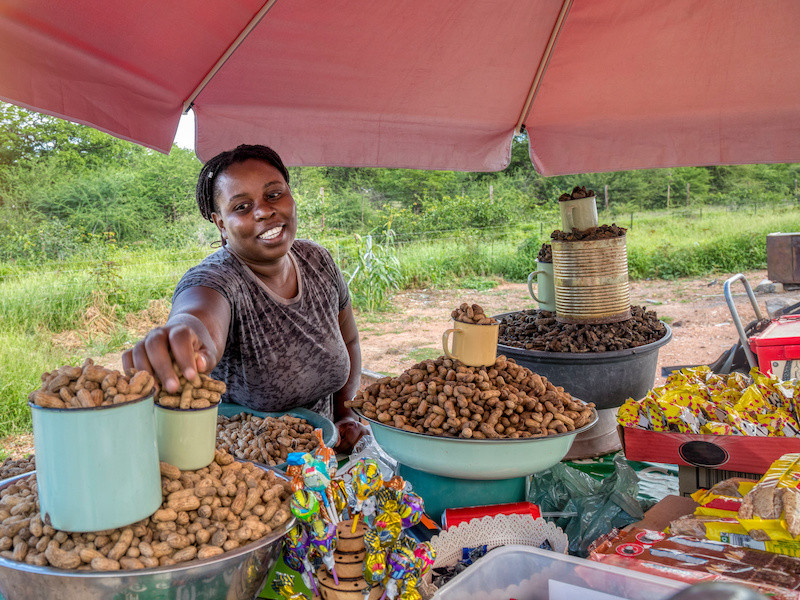 The AfCFTA Objectives and the furthering of the interests of Women