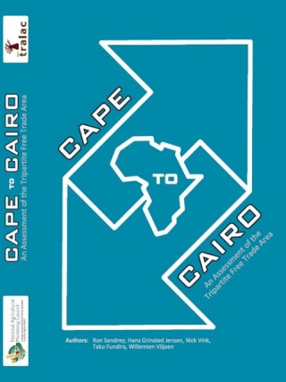 Cape to Cairo – An Assessment of the Tripartite Free Trade Area