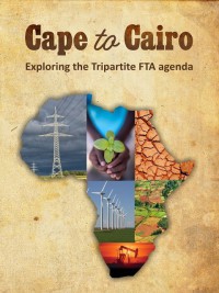Cape to Cairo: Exploring the Tripartite FTA Agenda