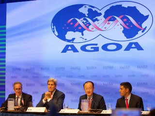 AGOA: Observations on Competitiveness and Diversification of U.S. Imports from Beneficiary Countries
