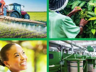 AfDB unveils plan to empower African Women in Agriculture