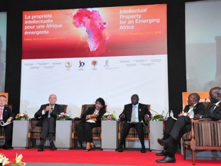 Well-designed IP systems can benefit Africa, leaders say; WIPO Director urges action
