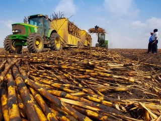 Five Southern Africa countries to plug sugar deficit in Kenya